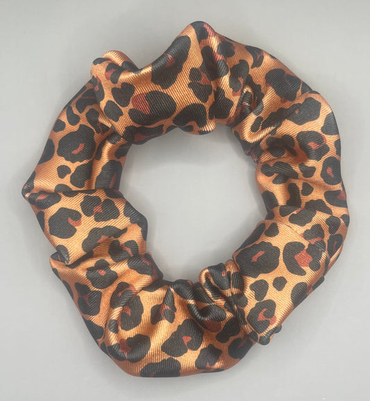 Adult SWIM cheetah